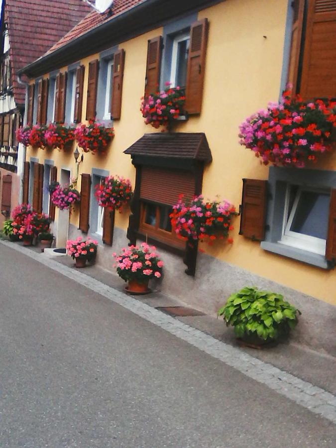 Relais de la diligence Lägenhet Romanswiller Exteriör bild